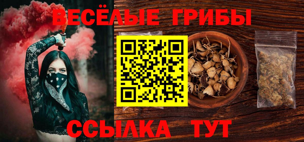 Псилоцибиновые грибы MAGIC MUSHROOMS Железногорск