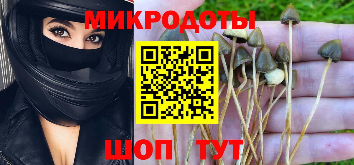 Галлюциногенные грибы Psilocybine cubensis  Галлюциногенные грибы прущие грибы  Вход с VPN  Железногорск 